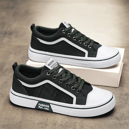 2026 Summer New Plus Size Canvas Shoes, Casual Versatile Lightweight Canvas Shoes, Youth Classic Canvas Shoes for Men