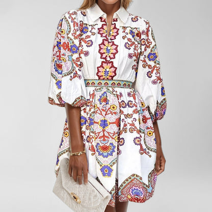 Cross-border foreign trade 2026 spring European and American fashion V-neck lantern sleeve temperament print waist slimming dress