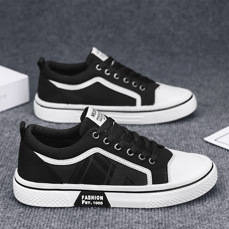 2026 Summer New Plus Size Canvas Shoes, Casual Versatile Lightweight Canvas Shoes, Youth Classic Canvas Shoes for Men