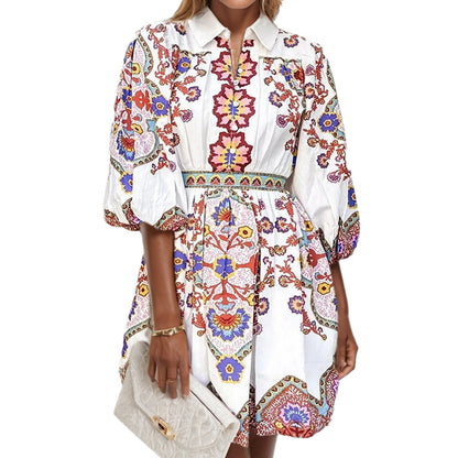 Cross-border foreign trade 2026 spring European and American fashion V-neck lantern sleeve temperament print waist slimming dress