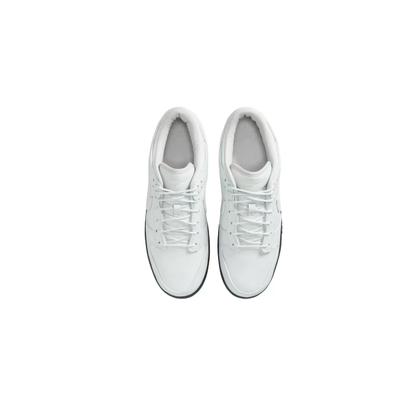 Sapatilhas Nike Dunk Low Retro Premium Branco Homem Low Retro IQ3342-100