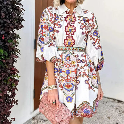 Cross-border foreign trade 2026 spring European and American fashion V-neck lantern sleeve temperament print waist slimming dress