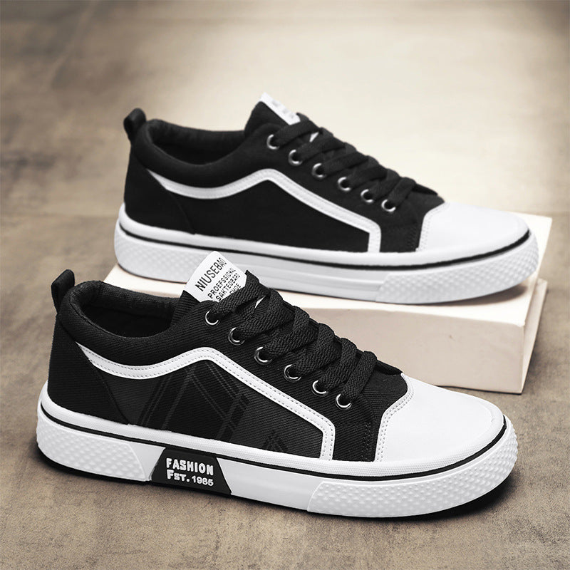 2026 Summer New Plus Size Canvas Shoes, Casual Versatile Lightweight Canvas Shoes, Youth Classic Canvas Shoes for Men