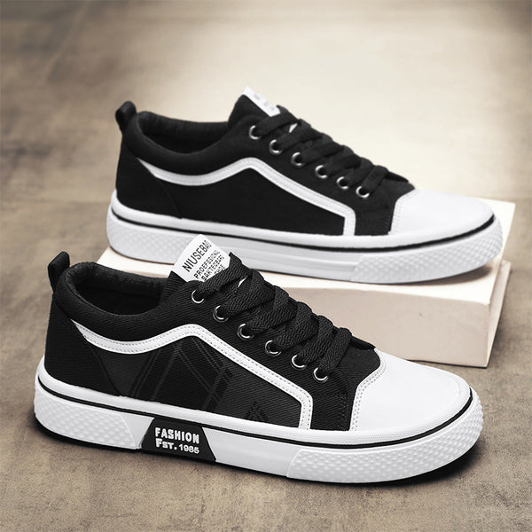 2026 Summer New Plus Size Canvas Shoes, Casual Versatile Lightweight Canvas Shoes, Youth Classic Canvas Shoes for Men