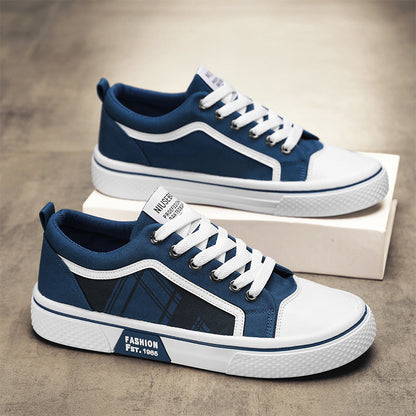 2026 Summer New Plus Size Canvas Shoes, Casual Versatile Lightweight Canvas Shoes, Youth Classic Canvas Shoes for Men