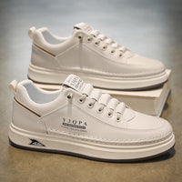 S799 beige