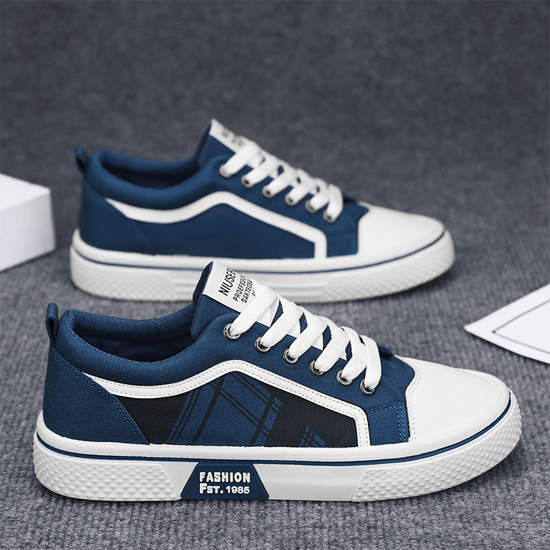 2026 Summer New Plus Size Canvas Shoes, Casual Versatile Lightweight Canvas Shoes, Youth Classic Canvas Shoes for Men